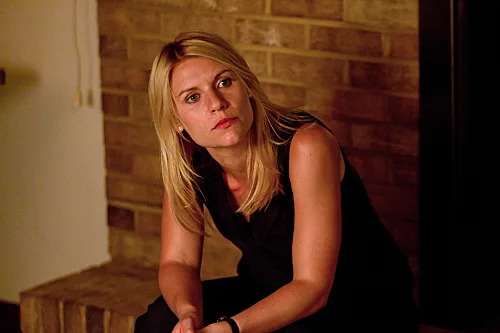 Homeland 'Blind Spot': Thickening of the Web