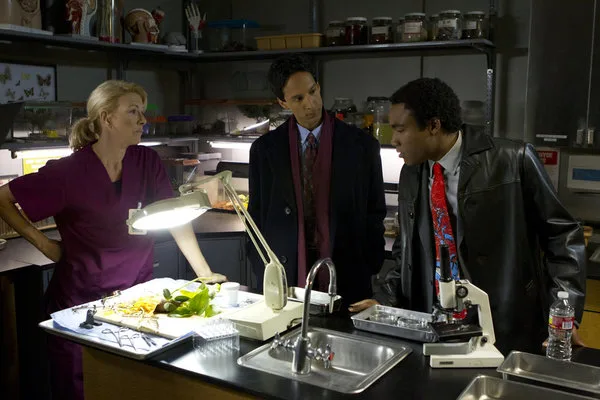 Community 'Basic Lupine Urology': This Is Not A Courtroom