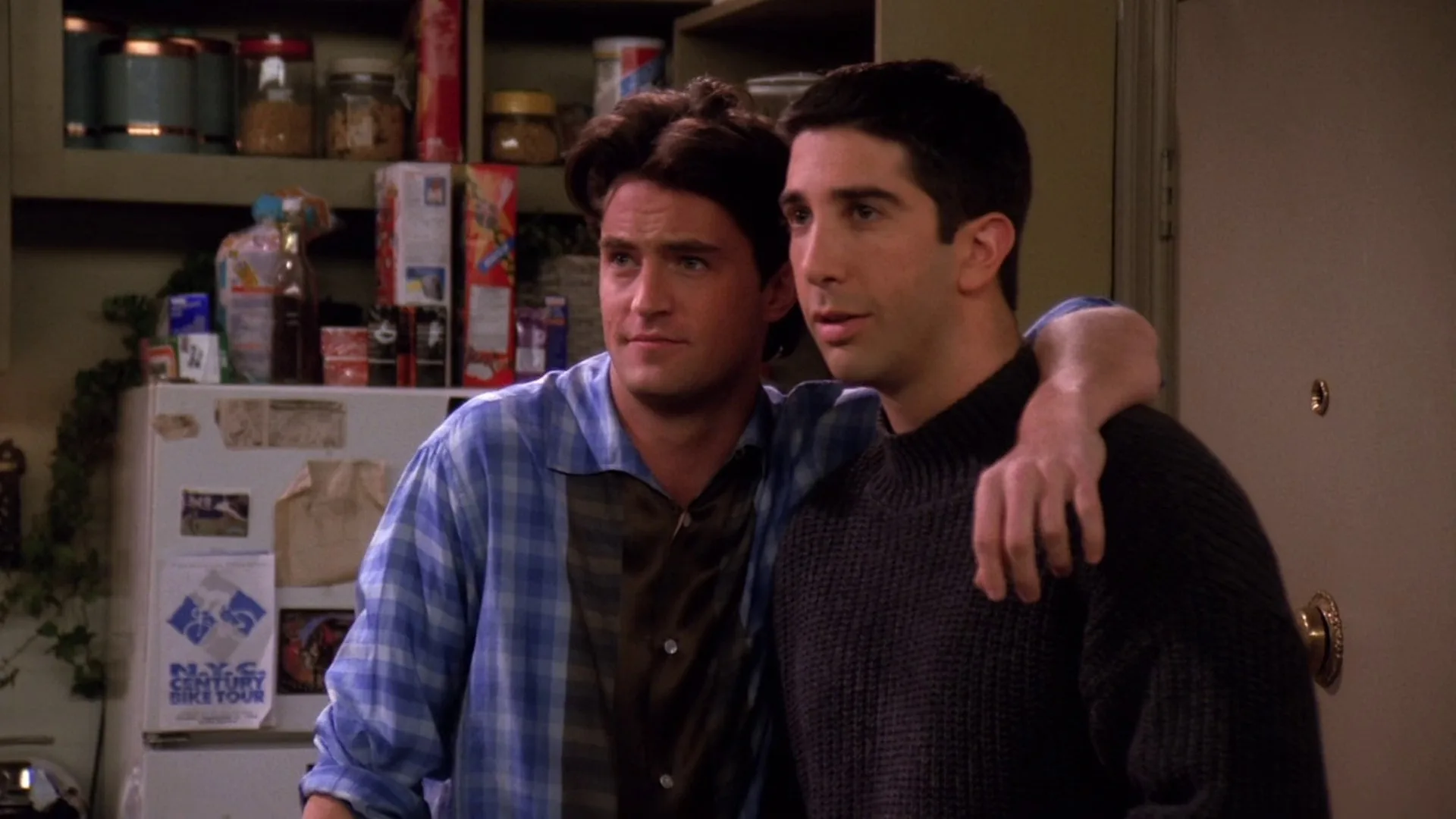 The One with the Dozen Lasagnas