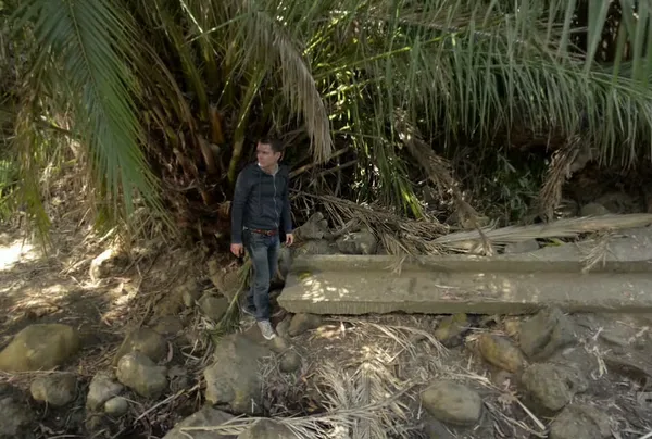 Wilfred Season 3, Episodes 12 & 13 Review - "Heroism"/"Regrets"
