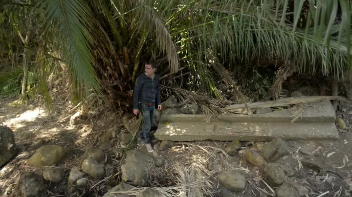 Season finale review: Wilfred 'Heroism/Regrets' - De-Vagification