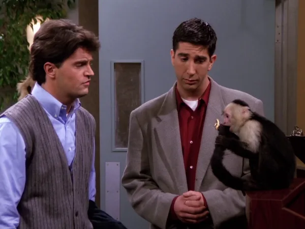 The One with the Fake Monica
