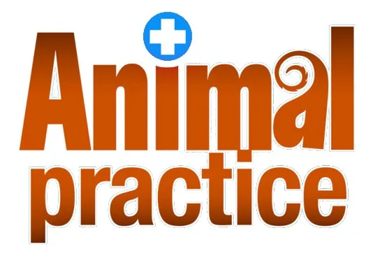 Animal Practice